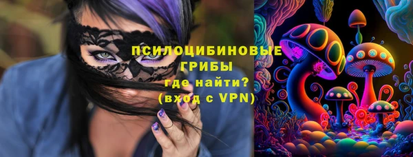 твердый Магадан