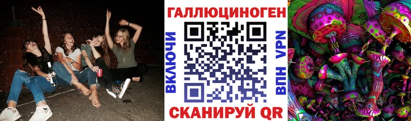 Псилоцибиновые грибы Cubensis  сайты даркнета официальный сайт  Моздок  закладка  hydra как зайти 