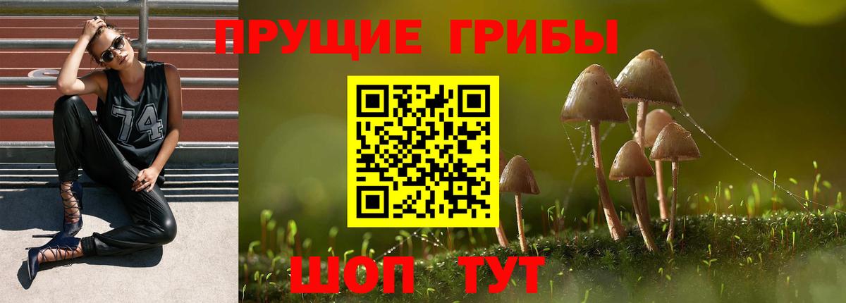 Псилоцибиновые грибы MAGIC MUSHROOMS  Вход с VPN  Моздок  Галлюциногенные грибы Cubensis 
